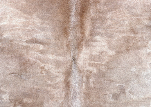 1635959 (a): :2950x2094